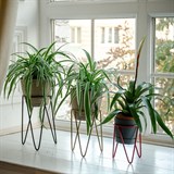 Подставка для цветов лофт 66-608 металлическая d=12см - фото 237530 Подставка для цветов лофт 66-608 металлическая d=12см - фото 237530