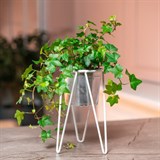 Подставка для цветов кованая 66-609 d=12см - фото 237540