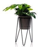 Подставка для цветов кованая 66-609 d=12см - фото 237546