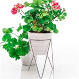 Подставка для цветов кованая 66-609 d=12см - фото 237550