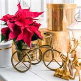 Подставка на подоконник 66-612 - фото 237558 Подставка на подоконник 66-612 - фото 237558