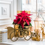 Подставка на подоконник 66-612 - фото 237559 Подставка на подоконник 66-612 - фото 237559