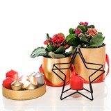 Подсвечник Звезда - фото 237903 Подсвечник Звезда - фото 237903