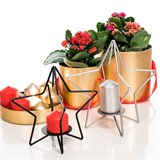 Подсвечник Звезда - фото 237961