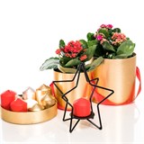 Подсвечник в стиле лофт Звезда - фото 237968