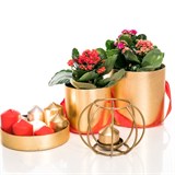 Подсвечник кованый - фото 237978