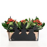 Подставка для цветов балконная 203-007 - фото 238147