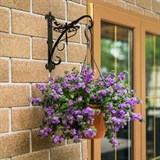 Кронштейн настенный для подвесных кашпо 201-030B - фото 238234 Кронштейн настенный для подвесных кашпо 201-030B - фото 238234