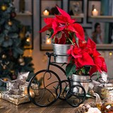 Подставка для цветов на подоконник Велосипед 41-041 - фото 238267