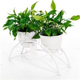 Цветочница на подоконник для двух кашпо 41-981W цв.белый - фото 238346