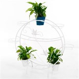 Кованая подставка на подоконник для десяти цветов 41-908W цв.белый - фото 238355