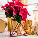 Подставка для цветов на подоконник заяц 660-007 d=12см - фото 238757 Подставка для цветов на подоконник заяц 660-007 d=12см - фото 238757