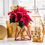 Подставка для цветов на подоконник заяц 660-007 d=12см - фото 238759 Подставка для цветов на подоконник заяц 660-007 d=12см - фото 238759