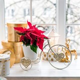 Подставка для цветов на подоконник Велосипед 950-040 металл - фото 238859