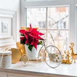 Подставка для цветов на подоконник Велосипед 950-040 металл - фото 238860