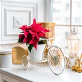 Подставка для цветов на подоконник Велосипед 950-040 металл - фото 238863