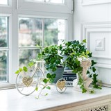 Подставка для цветов на подоконник Велосипед 950-040 металл - фото 238870