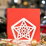 Салфетница кухонная из металла Звезда - фото 239479