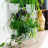 Подставка для цветов на подоконник на 8 кашпо 41-006 - фото 239958