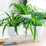 Кованая подставка на подоконник для трех цветов 41-007 - фото 239973