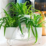 Кованая подставка на подоконник для трех цветов 41-007 - фото 239978