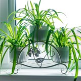 Кованая подставка на подоконник для трех цветов 41-007 - фото 239979