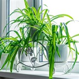 Кованая подставка на подоконник для трех цветов 41-007 - фото 239980