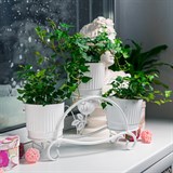 Подставка для цветов на подоконник кованая 41-014 - фото 240000