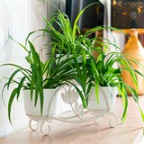 Подставка для цветов на подоконник кованая 41-014 - фото 240008