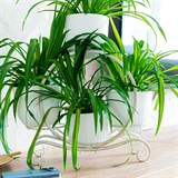 Кованая подставка на подоконник для четырех цветов 41-015 - фото 240018