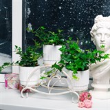 Кованая подставка на подоконник для трех цветов 41-017 - фото 240037