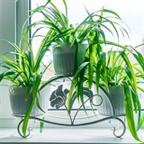 Кованая подставка на подоконник для трех цветов 41-017 - фото 240040