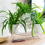 Кованая подставка на подоконник для трех цветов 41-017 - фото 240042