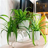 Кованая подставка на подоконник для трех цветов 41-017 - фото 240043