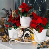 Кованая подставка на подоконник для трех цветов 41-017 - фото 240045