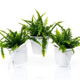 Подставка для цветов на подоконник 41-944 на 3 кашпо - фото 242150