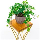 Подставка напольная под цветы Лофт 66-234 h=62см - фото 242748