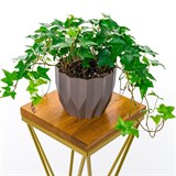 Подставка напольная под цветы Лофт 66-235 h=72см - фото 242762