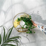 Подставка для цветов 15-113 настенная на одно растение - фото 243749