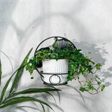 Подставка для цветов 15-117 настенная на одно растение - фото 243754