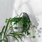 Подставка для цветов 15-117 настенная на одно растение - фото 243755