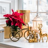 Подставка на подоконник 66-613 - фото 243761 Подставка на подоконник 66-613 - фото 243761