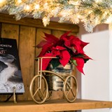 Подставка на подоконник 66-613 - фото 243769 Подставка на подоконник 66-613 - фото 243769